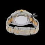 Dual-Tone Standard Numerals Black Dial Moissanite Diamond Watch Caseback View
